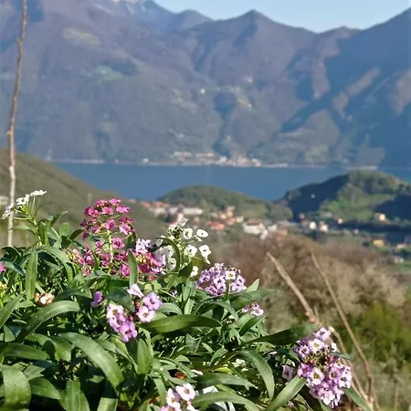 Летний дом Chalet Fior Di Ciliegio Mountain Iseo Hospitality *